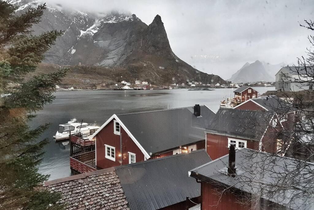 Cozy House By The Fjord In The Heart Of Lofoten Reine Esterno foto